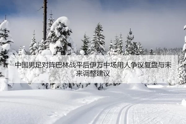 中国男足对阵巴林战平后伊万中场用人争议复盘与未来调整建议